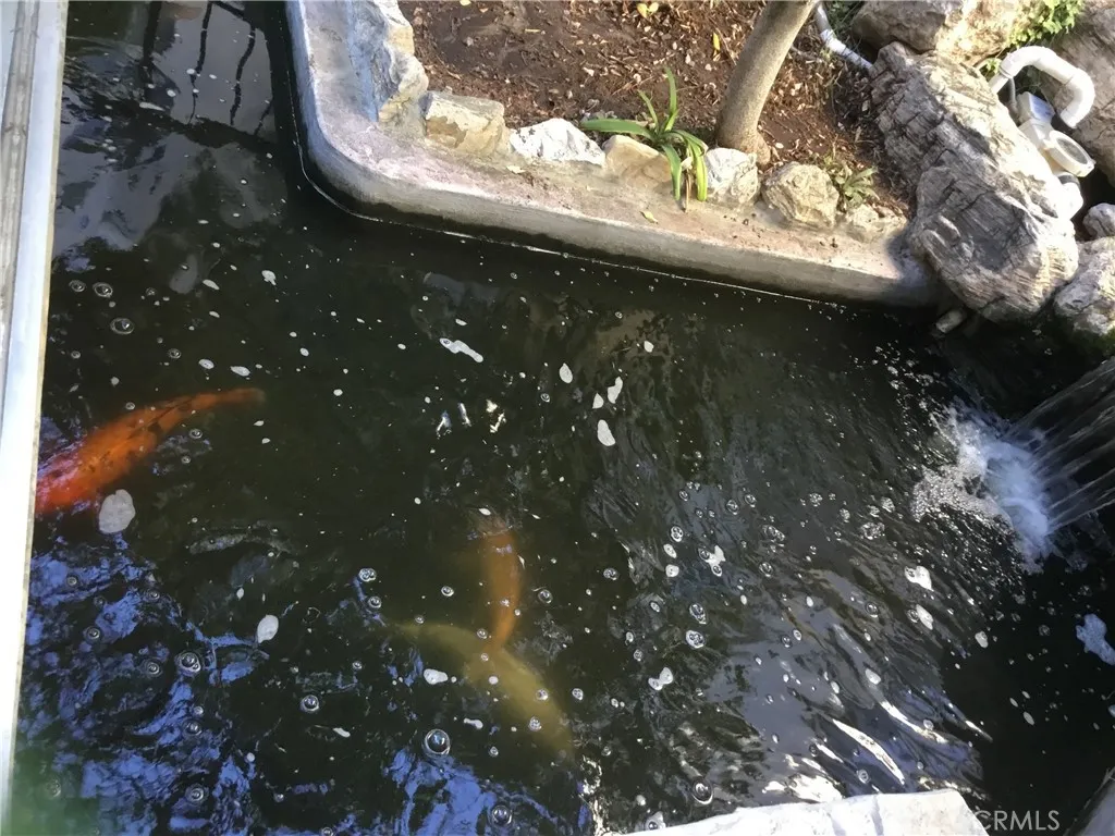 Water Fall With Golden Fishes Very Relaxing