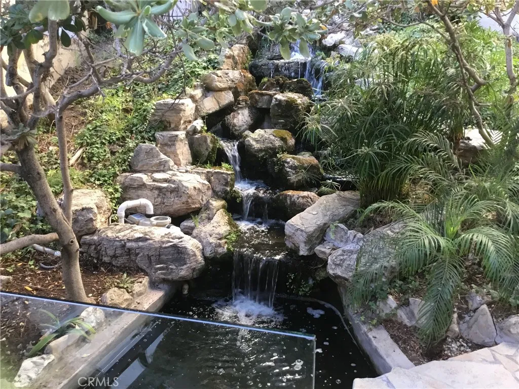 Water Fall With Amazing
  Golden Fishes &Turtles