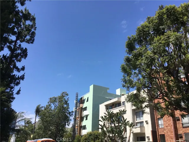 The Surrounding Of The Colony Condo Area