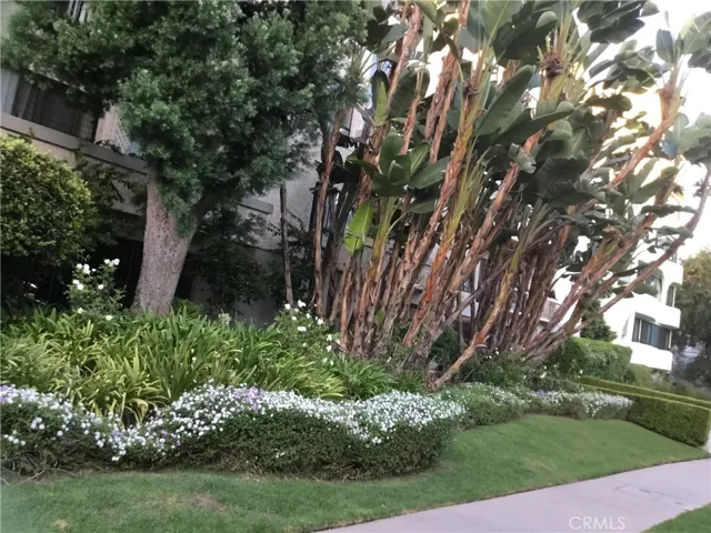 Side Walk South