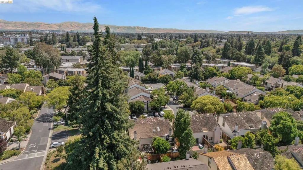 Expansive neighborhood setting featuring mature trees, residential properties, and distant mountains