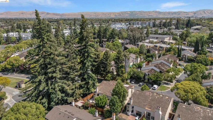 Community setting with abundant mature trees and residential structures, under a clear sky with distant mountains