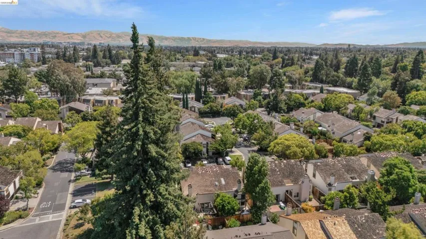 Expansive neighborhood setting featuring mature trees, residential properties, and distant mountains