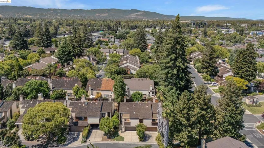 Tree-lined neighborhood with abundant mature landscaping and a mountainous backdrop