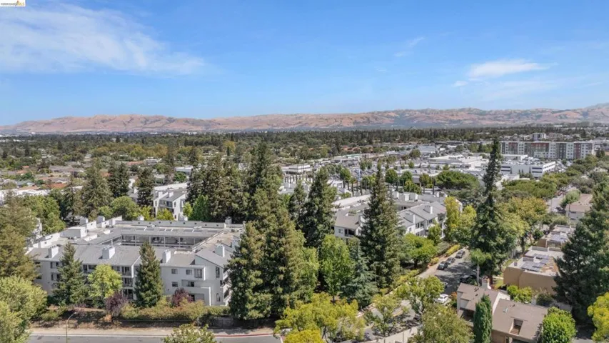 Expansive aerial perspective showcasing a residential landscape with mature trees and distant mountain range