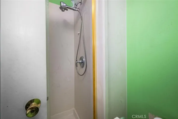 Shower and lavatory