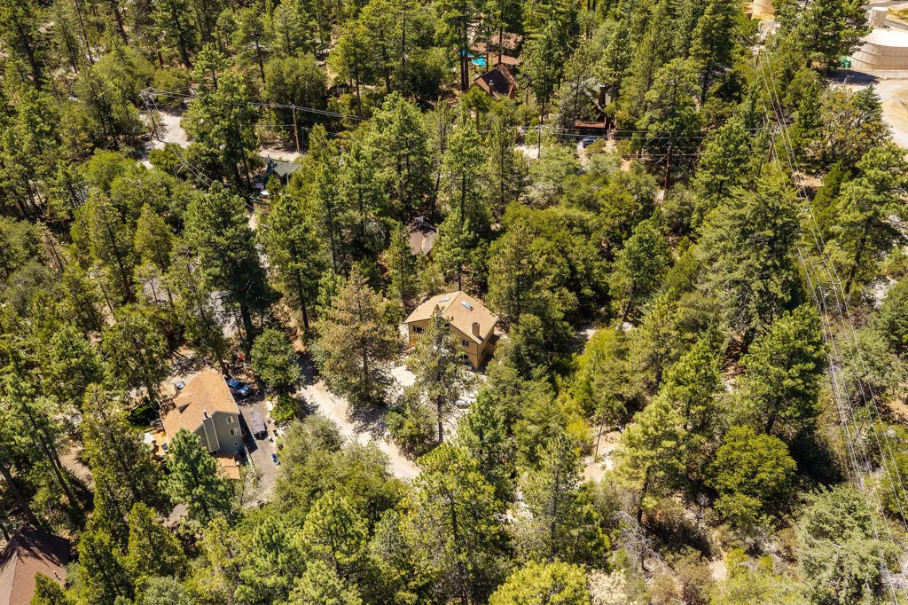 25265FosterLakeRd-64