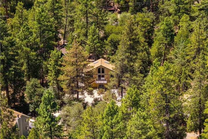 25265FosterLakeRd-68