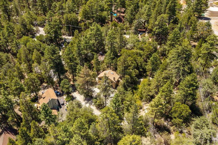 25265FosterLakeRd-64