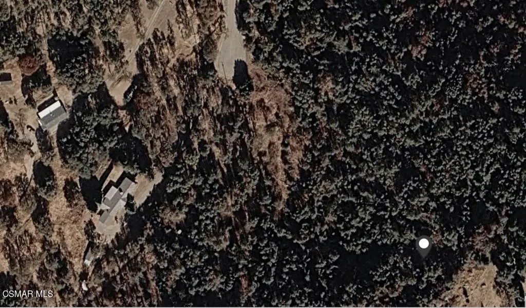 Daffodil Lane Lane, Squaw Valley, California 93675 — photo 4