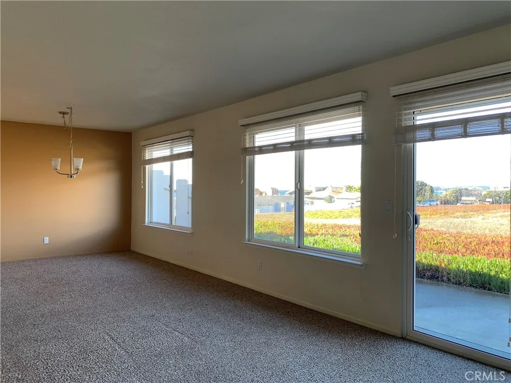 View north from the living area, wide open space