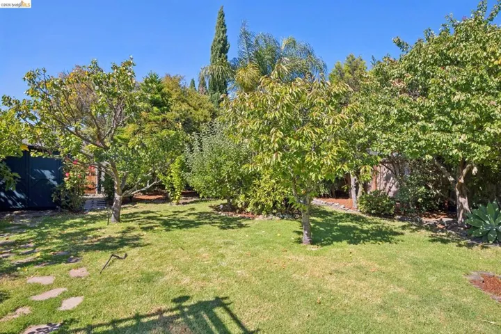 Expansive backyard featuring a manicured lawn, established trees, and stone paver pathway