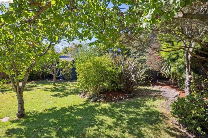 Expansive backyard featuring a manicured lawn, established trees, and diverse landscaping