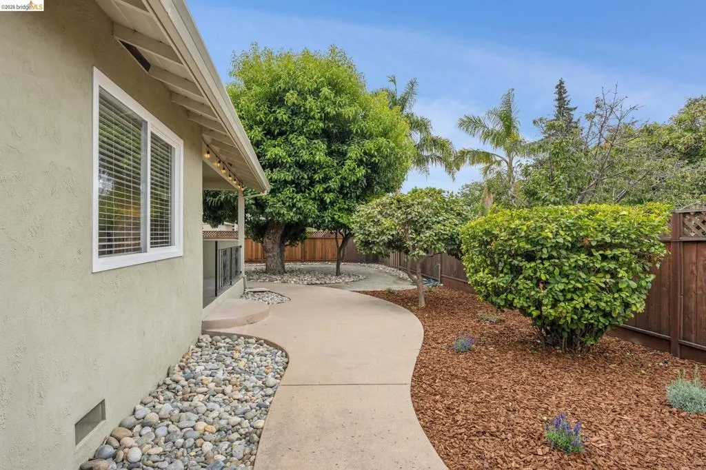 Curved concrete pathway with river rock landscaping and mulch ground cover, bordered by a privacy fence and established trees