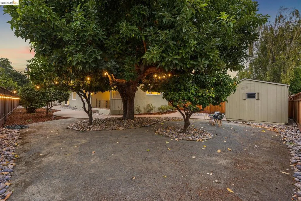 Expansive outdoor area featuring mature trees, a detached storage shed, and a concrete patio