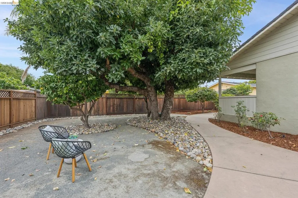Expansive outdoor area featuring mature trees, a concrete pathway, a wood-slat fence, and decorative gravel landscaping