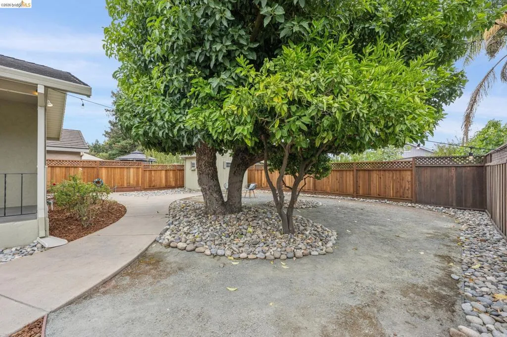 Landscaped yard with a concrete pathway, mature trees, and natural rock accents