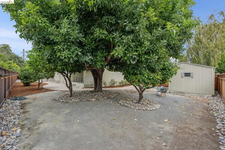 Spacious yard with mature trees, gravel ground cover, and a detached storage shed