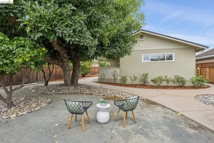 Low-maintenance landscaping featuring mature trees and a gravel ground cover