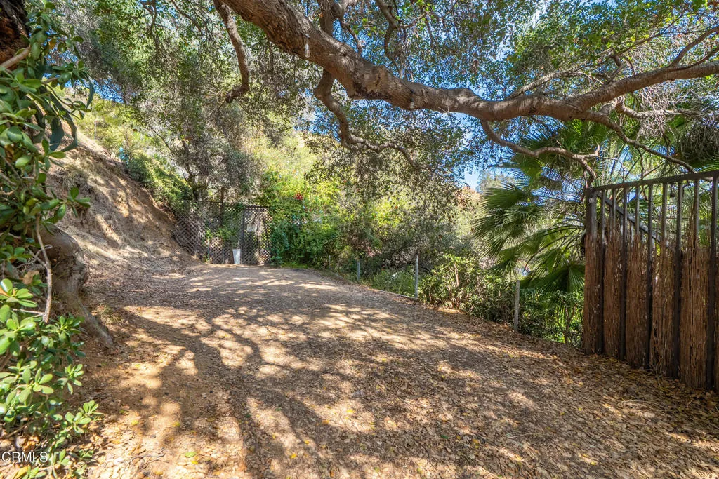 11 - Laurel Canyon (2026)