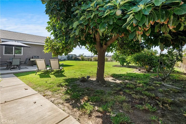 Fruit trees!