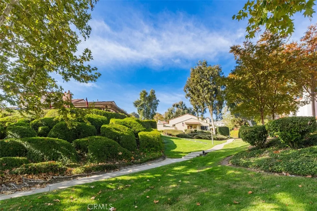 Paths throughout the neighborhood