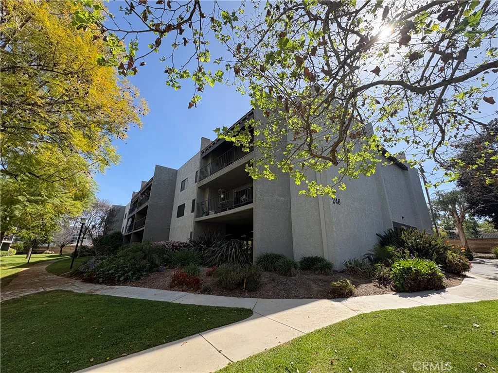 246 E Fern 103