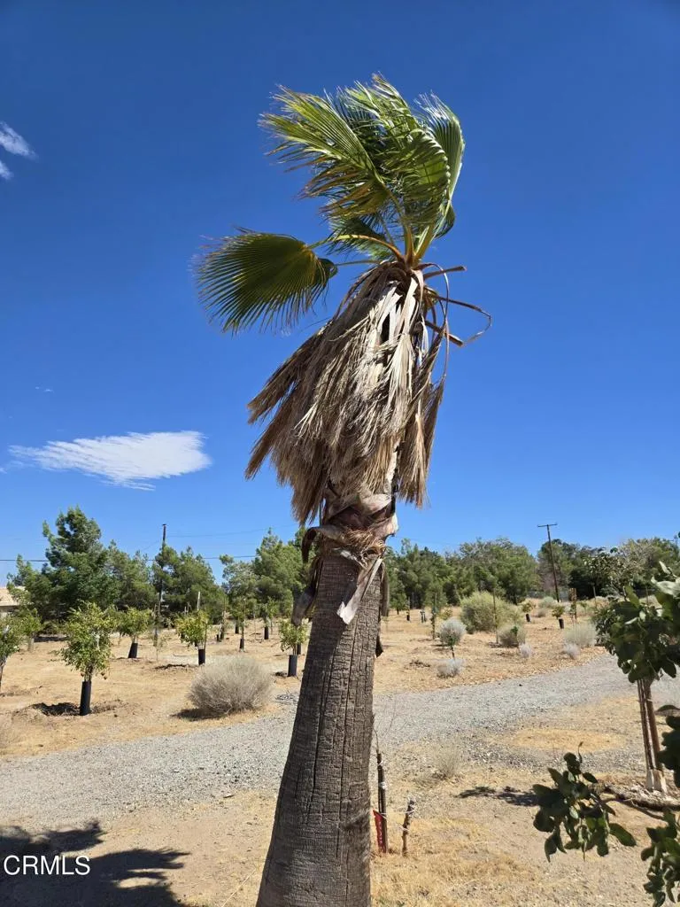 0 W Cor 12thw Avenue N-8, Palmdale, California 93550 — photo 4