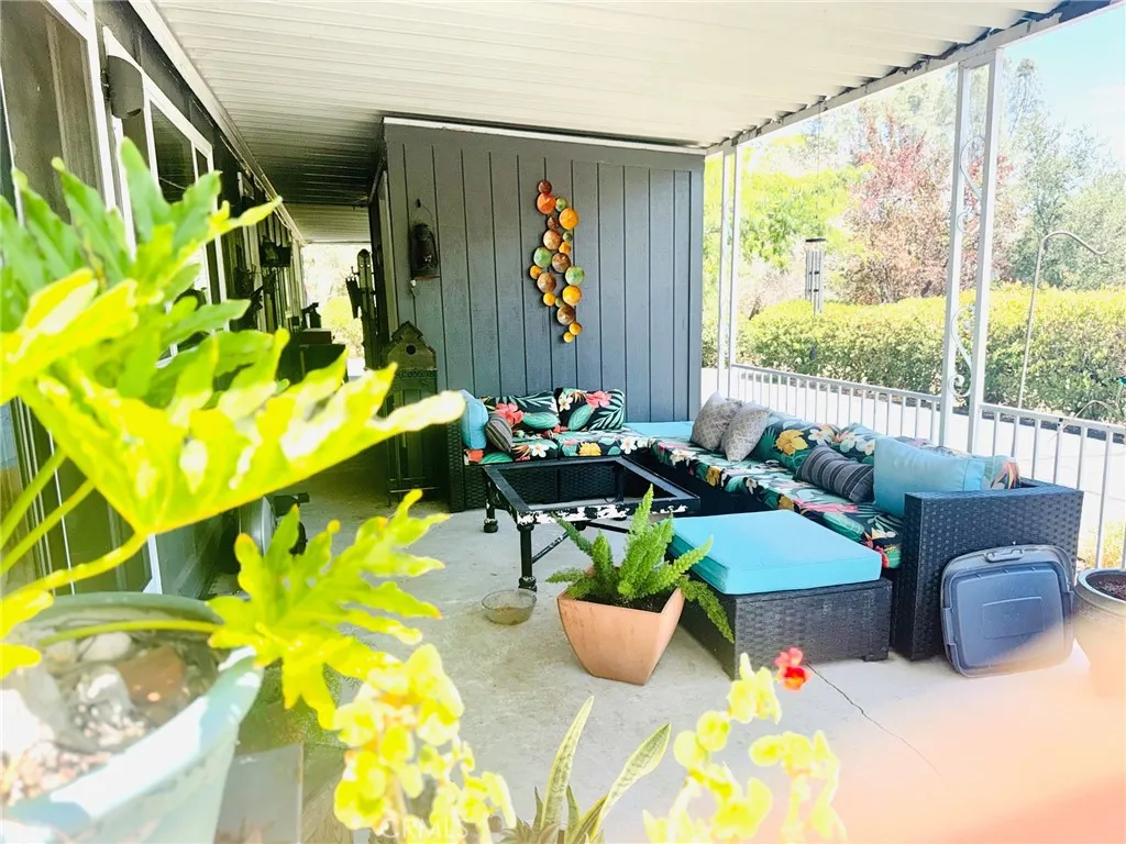 Patio living area