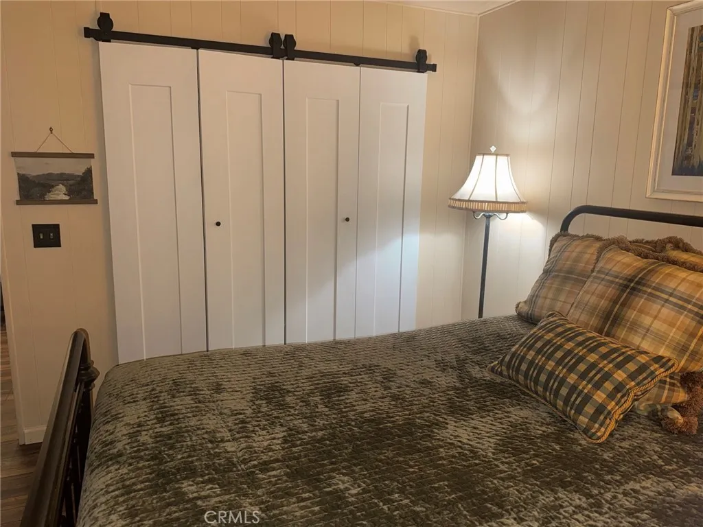 Fun closet door
