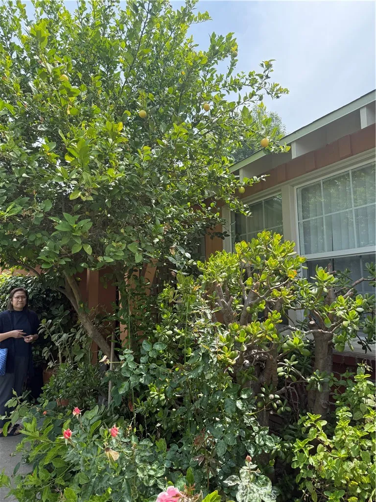 6030 Coldwater Canyon, North Hollywood, California 91606 — photo 4