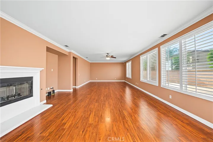 Family Room /Fireplace