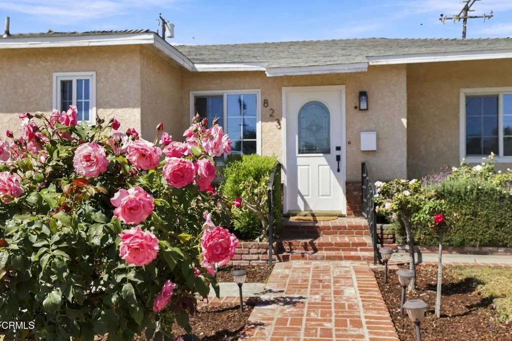 4-web-or-mls-0R3A7380 4-web-or-mls-0R3A7380