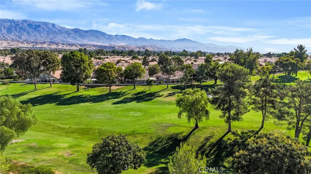 1560 Pine Valley