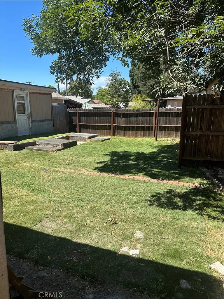Back yard