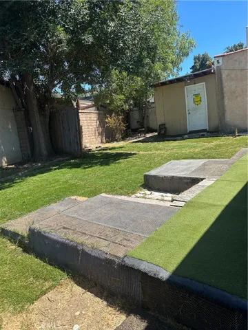 Back  yard
