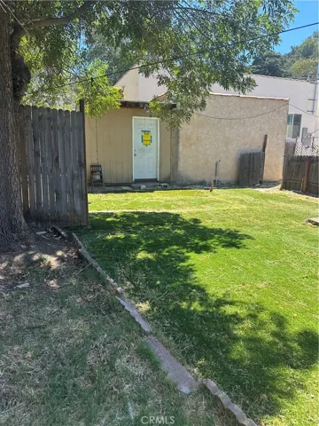 Back yard