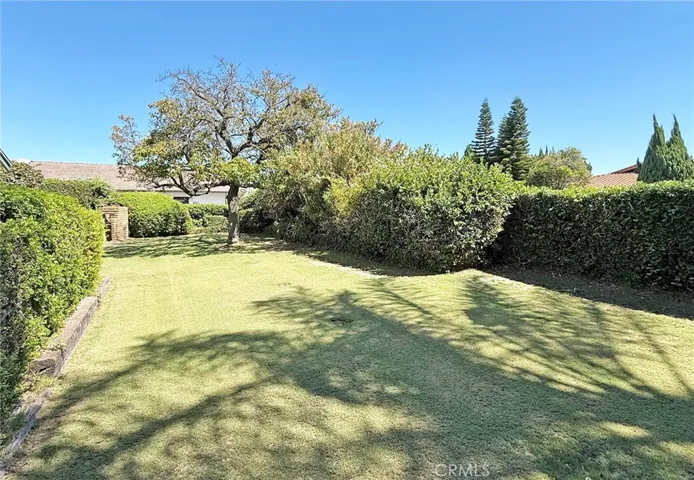 Incredible Private Park for a Backyard 

