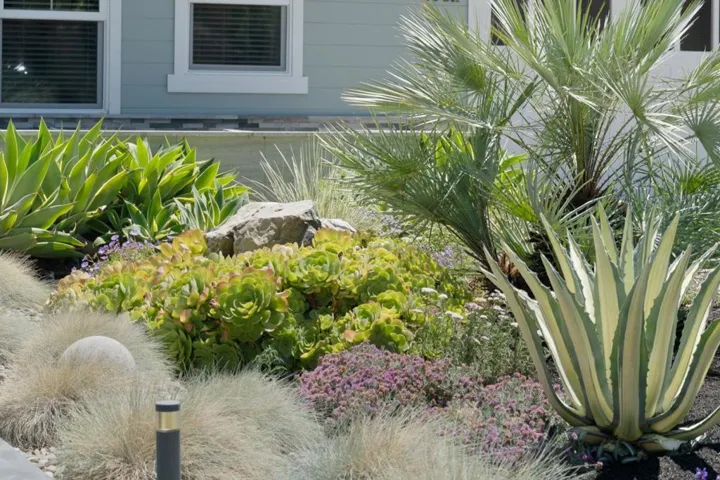 1052 Mcbain Avenue, Campbell, California 95008 — photo 5