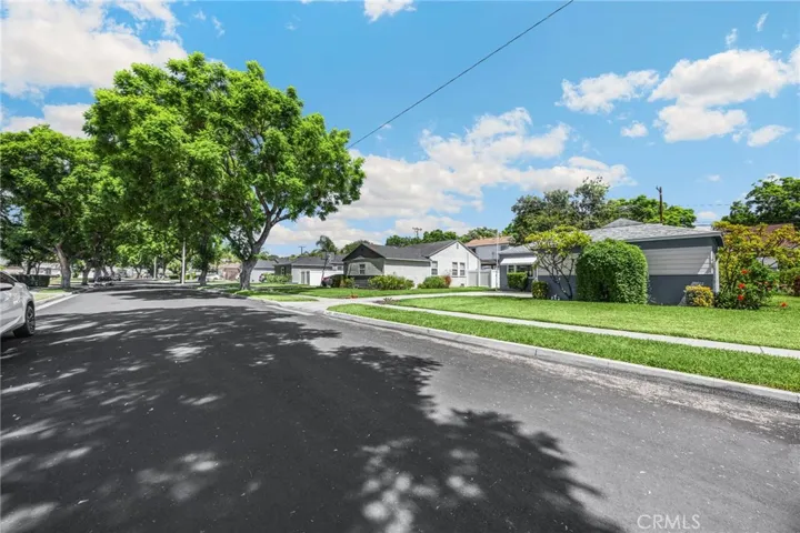 Tree-lined street