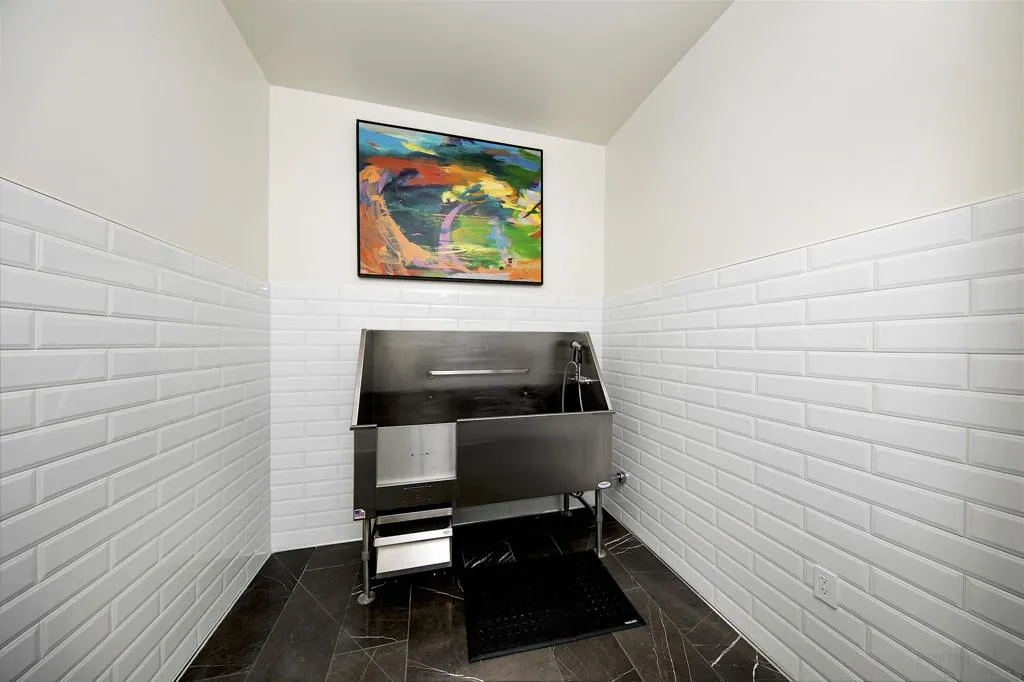 Dog Washing Room
