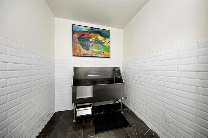 Dog Washing Room