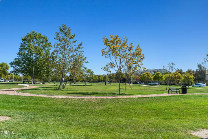 40_central park