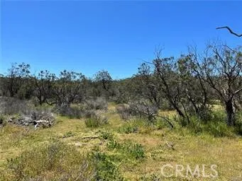 1 Barbara Trail, Aguanga, California 92536 — photo 5