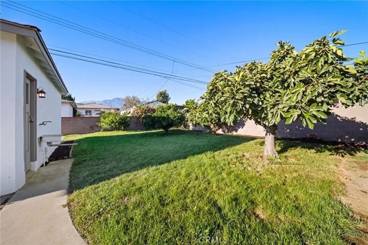 Rear yard with fruit trees