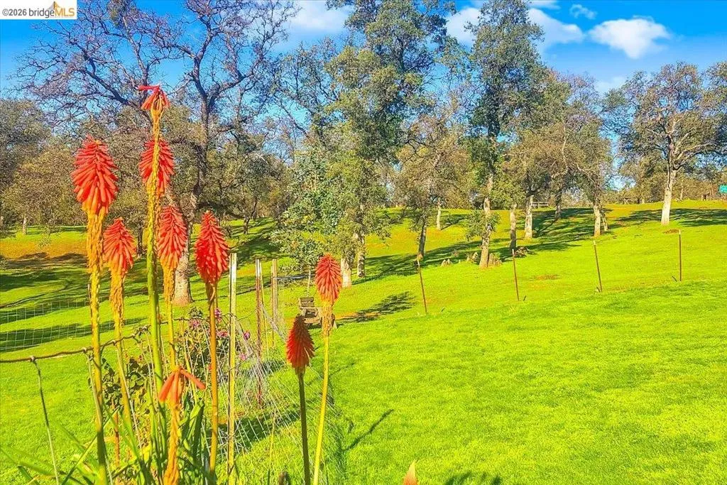 14450 Jacksonville Rd., Jamestown, California 95327 — photo 4
