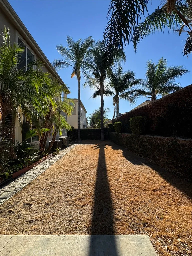 Backyard – Spacious private backyard featuring mature palm trees, established landscaping, and plenty of outdoor space.