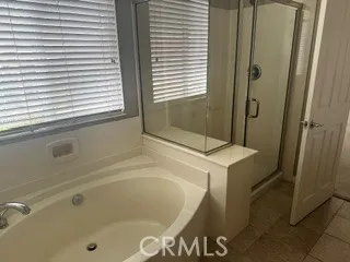 Primary bath featuring a large soaking tub and separate glass-enclosed shower.