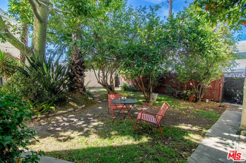 Shared Backyard Shared Backyard