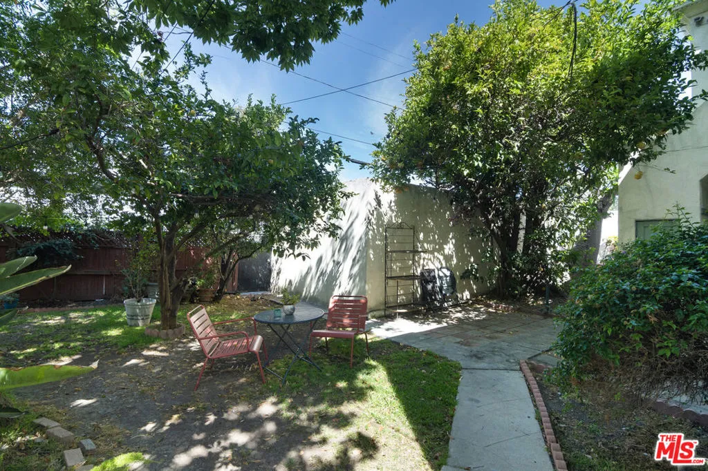 Shared Backyard Shared Backyard